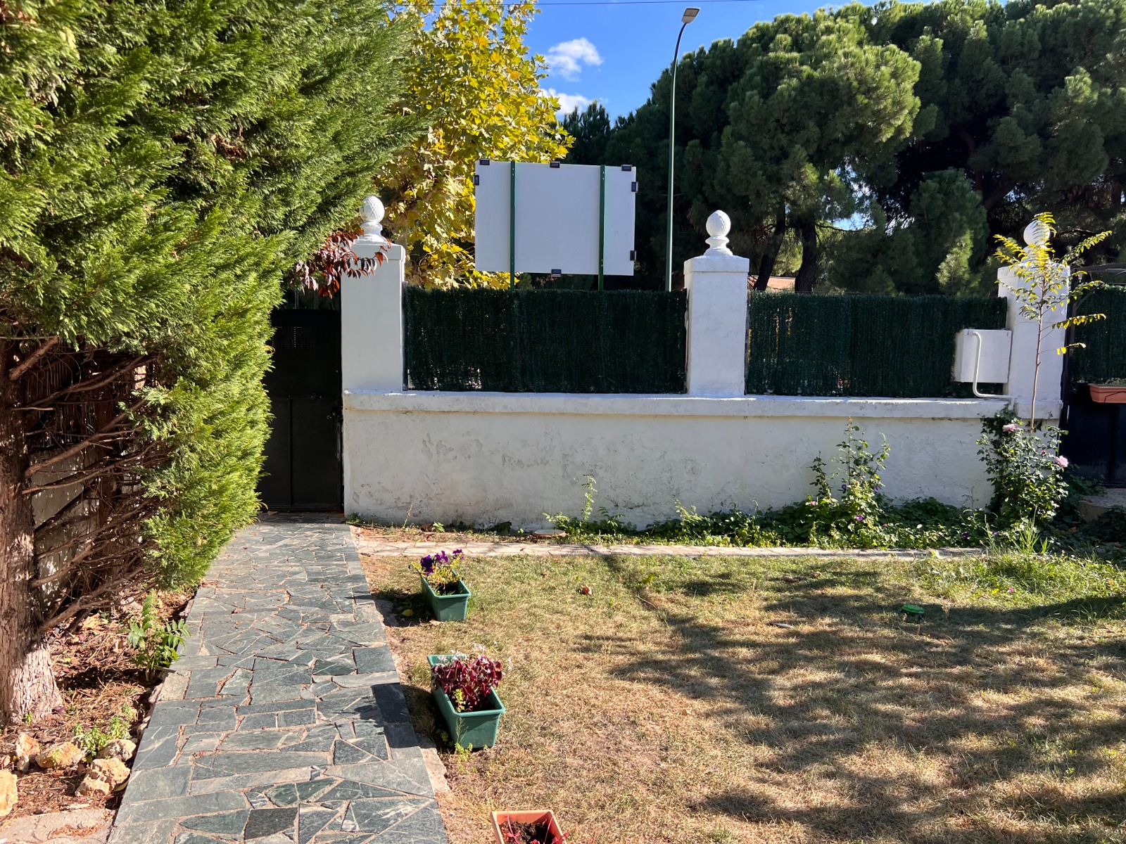 Jardin